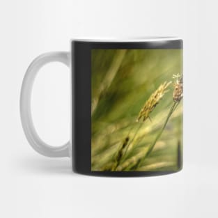 Wonderful Grass - 2014 Mug